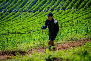 BIB: 
                            <button type="button" onclick="openModal(19162285)" class="btn btn-primary btn-sm float-right btn-popup" data-toggle="modal" data-target=".modal-high-quality">
                        <i class="fas fa-shopping-cart"></i> Add to Cart
                    </button>
                                            <button type="button" onclick="isThisMe(19162285, true)" class="btn btn-success btn-sm float-right btn-popup btn-isme hidden" data-toggle="tooltip" data-placement="bottom" title="นี่คือรูปของคุณใช่ไหม คลิกที่นี่เพื่อเอาเข้าอัลบั้ม">
                        <i class="fas fa-plus"></i> Add to album
                    </button>
                    <button type="button" onclick="isThisMe(19162285, false)" class="btn btn-warning btn-sm float-right btn-popup btn-isnotme hidden">
                        <i class="fas fa-ban"></i> Remove from album
                    </button>